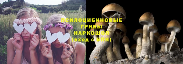 гашик Нязепетровск