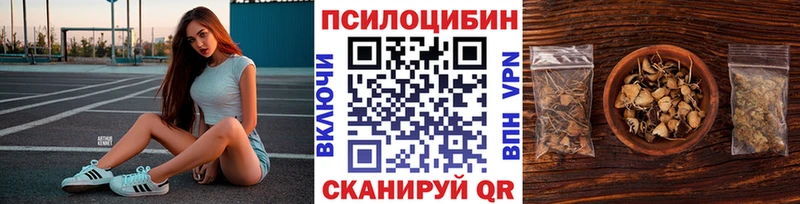 Псилоцибиновые грибы Cubensis  Черногорск 