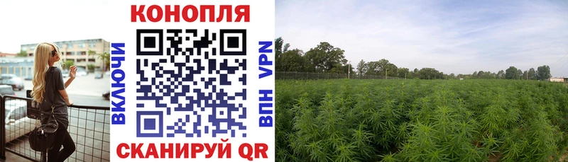 Каннабис LSD WEED Черногорск
