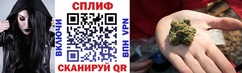 Шишки марихуана марихуана  дарнет шоп  Черногорск 